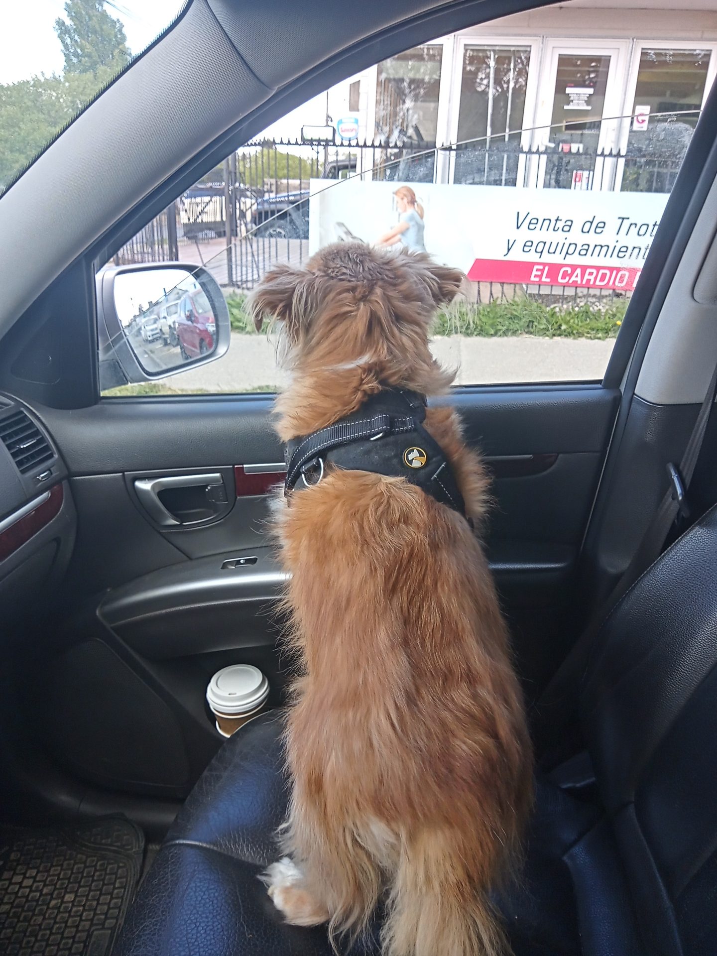 De Copiloto