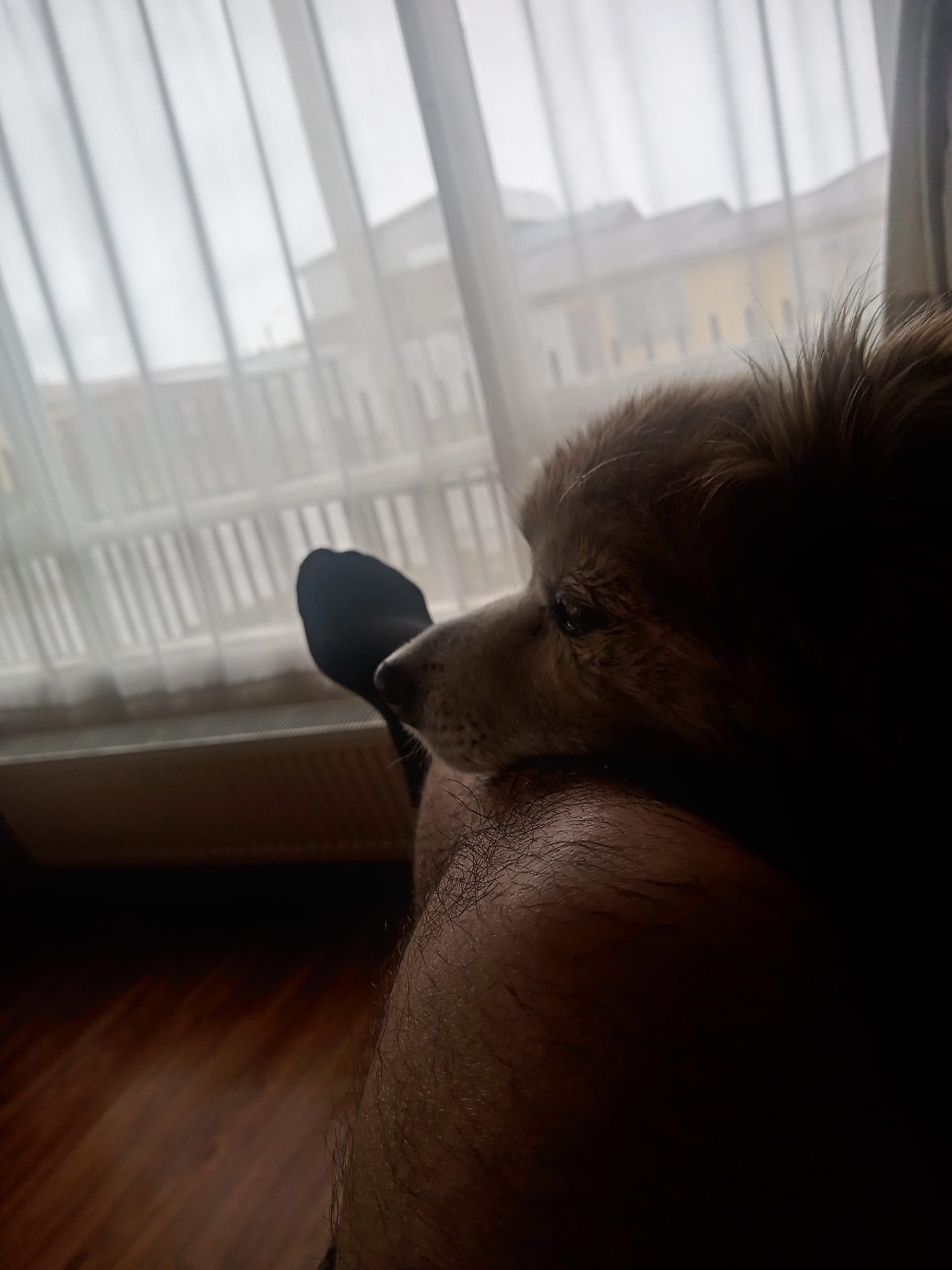 Momento de relajo
