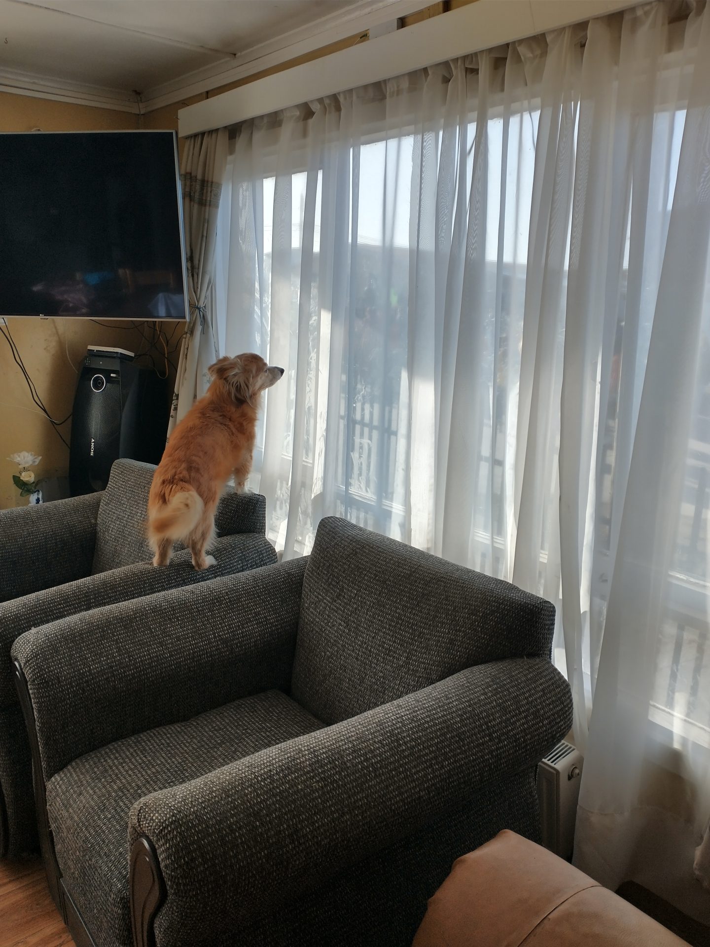 Control a los vecinos.